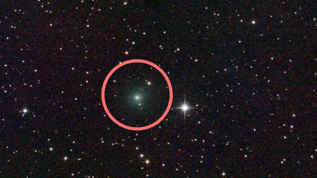 Observation de la comète C/2025 A6 (Lemmon) le 31 août 2025. Depuis, la comète a encore semble encore avoir gagné en luminosité. // Source : Flickr/CC/Dimitrios Katevainis, image recadrée, annotation Numerama