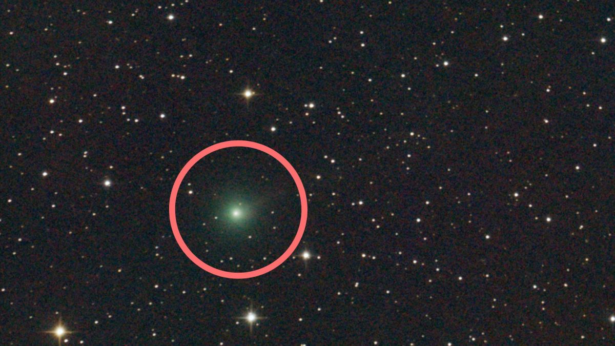La comète C/2025 A6 (Lemmon) observée le 5 septembre 2025. // Source : Flickr/CC/Dimitrios Katevainis, image recadrée, annotation Numerama