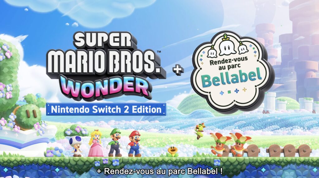 Source : Nintendo