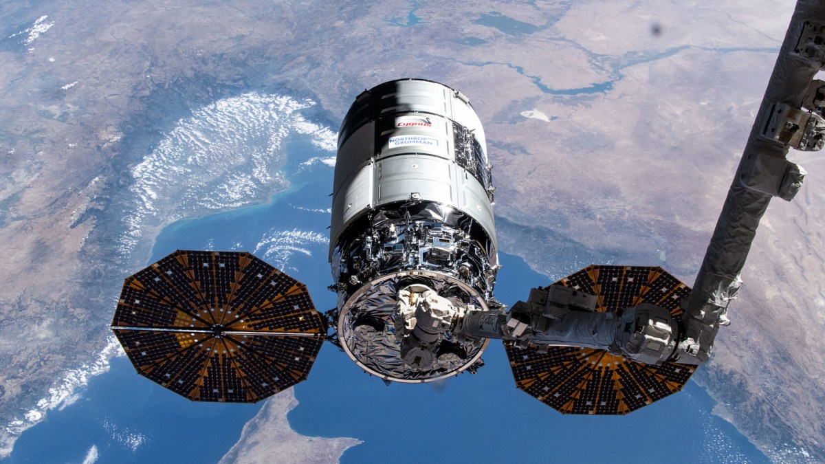 cargo cygnus XL