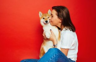 Pourquoi les animaux nous rendent heureux. // Source : Canva