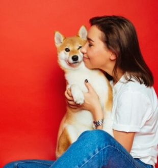 Pourquoi les animaux nous rendent heureux. // Source : Canva