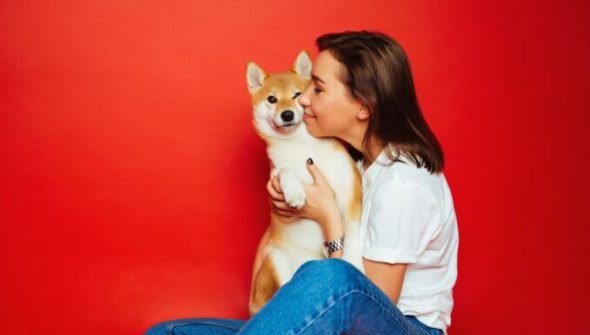 Pourquoi les animaux nous rendent heureux. // Source : Canva