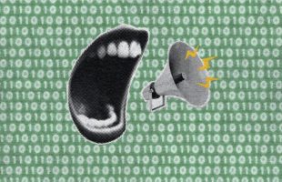 ANTS dément la cyberattaque // Source : Montage Numerama