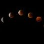 Éclipse lunaire de septembre 2025. // Source : Flickr/CC/Paul Balfe (photo recadrée)