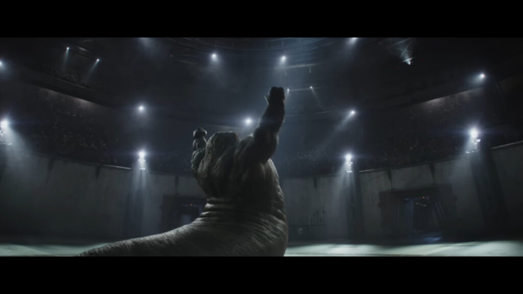 hutt musclé hutt musclé