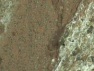 Image du roc possédant de possibles biosignatures. // Source : Nasa/JPL-Caltech/MSSS
