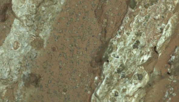 Image du roc possédant de possibles biosignatures. // Source : Nasa/JPL-Caltech/MSSS
