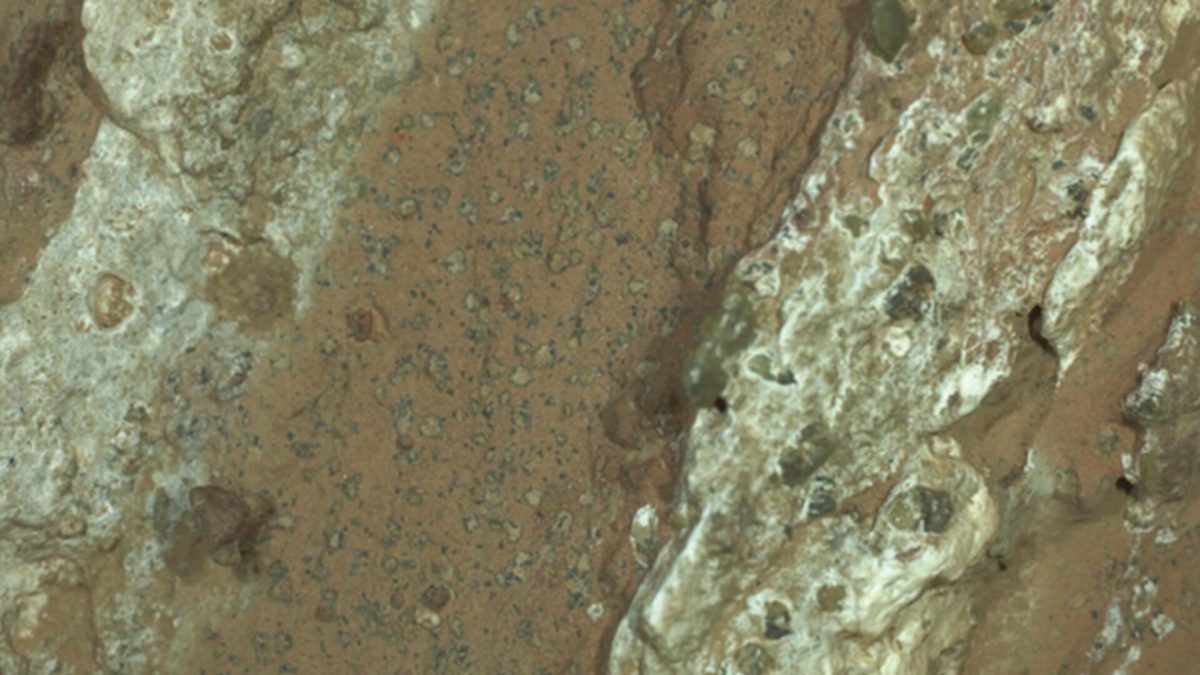 Image du roc possédant de possibles biosignatures