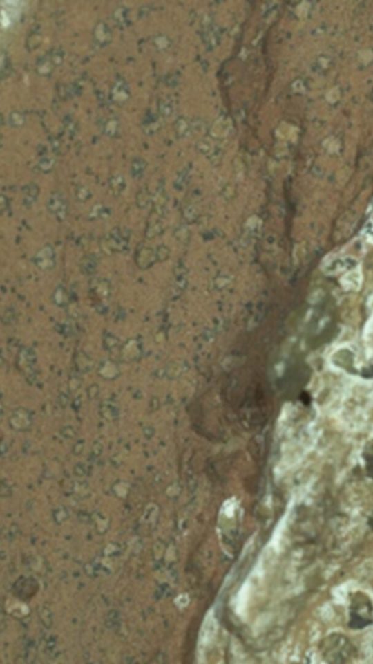 Image du roc possédant de possibles biosignatures. // Source : Nasa/JPL-Caltech/MSSS