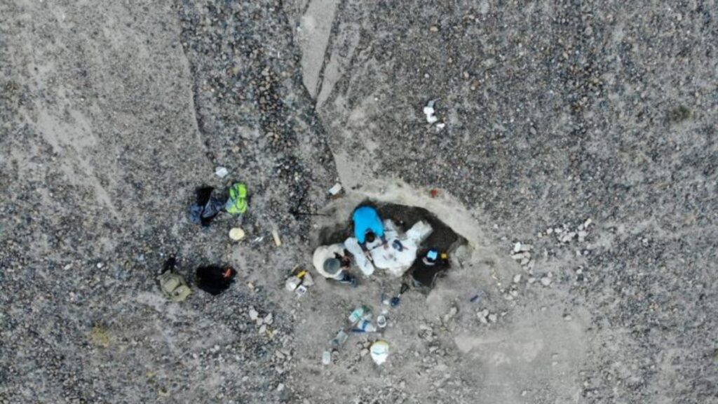 Une équipe de chercheur a récemment retrouvé le squelette d'un dinosaure en Patagonie. // Source : CONICET