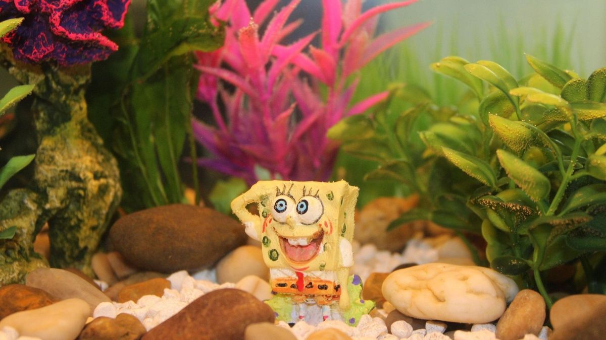 Bob l'éponge  // Source : Pixabay-AngieJohnston