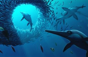 Reconstruction de ce à quoi le Xiphodracon aurait pu ressembler  // Source : Bob Nicholls