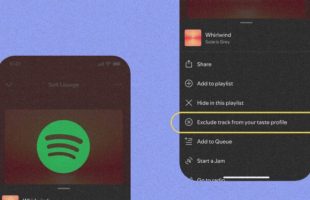 La suppression d'un titre est disponible pour les utilisateurs Free et Premium du monde entier, sur la version web, ordinateur, iOS et Android. // Source : Spotify / Numerama 