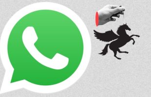 Pegasus interdit d'utiliser Whatsapp // Source : Pegasus interdit d'utiliser Whatsapp