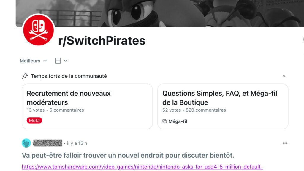 Le subreddit /rSwitchPirates. // Source : Reddit 