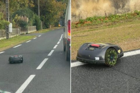 Un robot tondeuse recherché par les autorités. // Source : Fred Le Breton Un robot tondeuse recherché par les autorités. // Source : Fred Le Breton