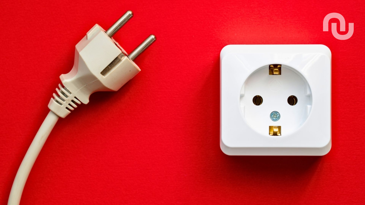 Source : Canva Source : Canva