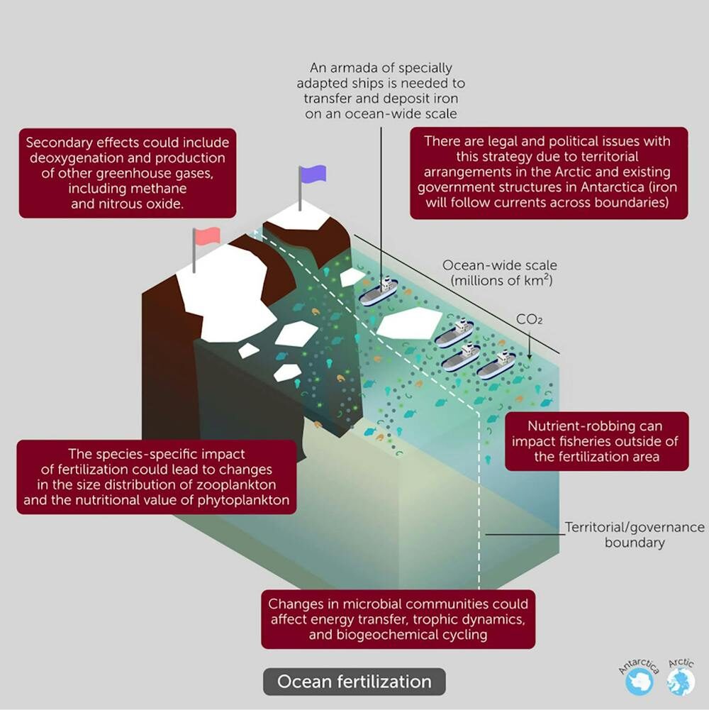 Un schéma montrant des nutriments ajoutés à l’océan pour favoriser la croissance du phytoplancton. // Source : Frontiers Un schéma montrant des nutriments ajoutés à l’océan pour favoriser la croissance du phytoplancton. // Source : Frontiers