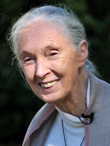Jane Goodall Jane Goodall