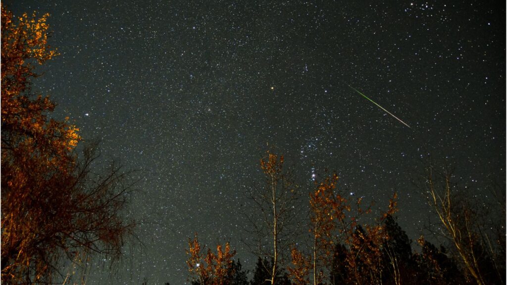 Météore des Léonides. // Source : Flickr/CC/Rocky Raybell (photo recadrée) Météore des Léonides. // Source : Flickr/CC/Rocky Raybell (photo recadrée)