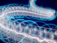 Bobine conçue par Helical Fusion. Source : Capture d'écran vidéo