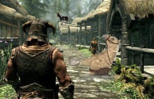 Skyrim glitche // Source : Bethesda