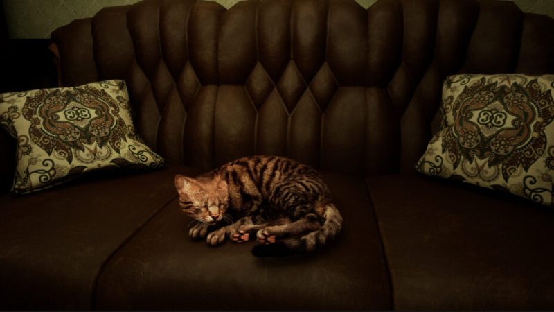 Un jeu d’horreur avec un chat mignon en héros ? Vivement 2026