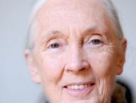 Jane Goodall, le 22 juin 2010 à Paris  // Source : Wikimédia - Nikeush