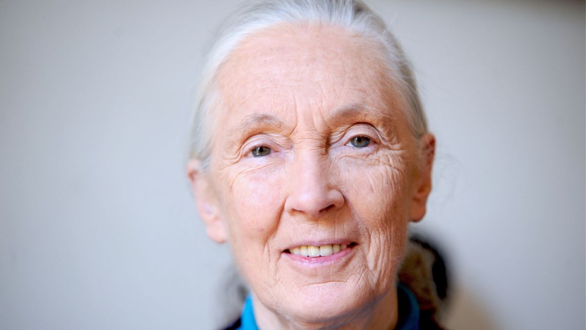 Jane Goodall, le 22 juin 2010 à Paris  // Source : Wikimédia - Nikeush