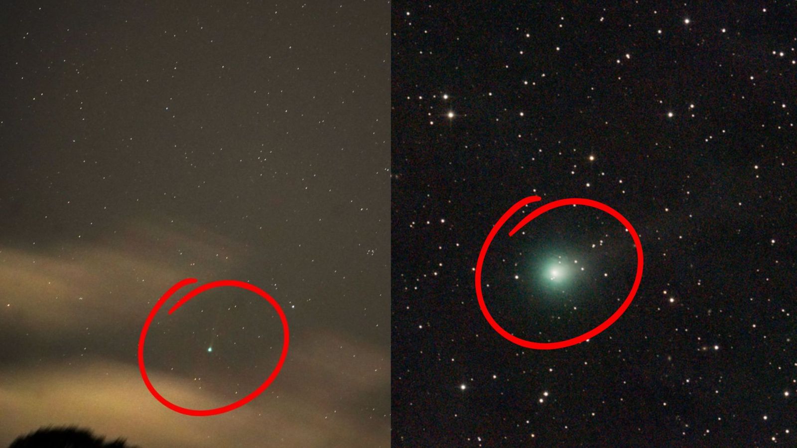 Levez les yeux vers le ciel pour admirer les comÃ¨tes Lemmon et Swan en octobre 2025