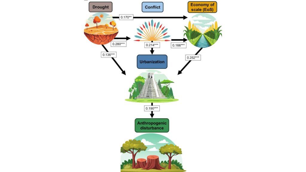 Prédictions théoriques et résultats du modèle statistique utilisé montrant les différents facteurs influençant les cités mayas // Source : Modeling the rise and demise of Classic Maya cities: Climate, conflict, and economies of scale Prédictions théoriques et résultats du modèle statistique utilisé montrant les différents facteurs influençant les cités mayas // Source : Modeling the rise and demise of Classic Maya cities: Climate, conflict, and economies of scale
