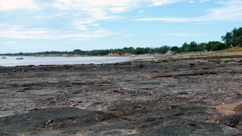 Dépôts de fond marin vieux de 115 millions d'années exposés près de Darwin, dans le nord de l'Australie. // Source : Benjamin Kear