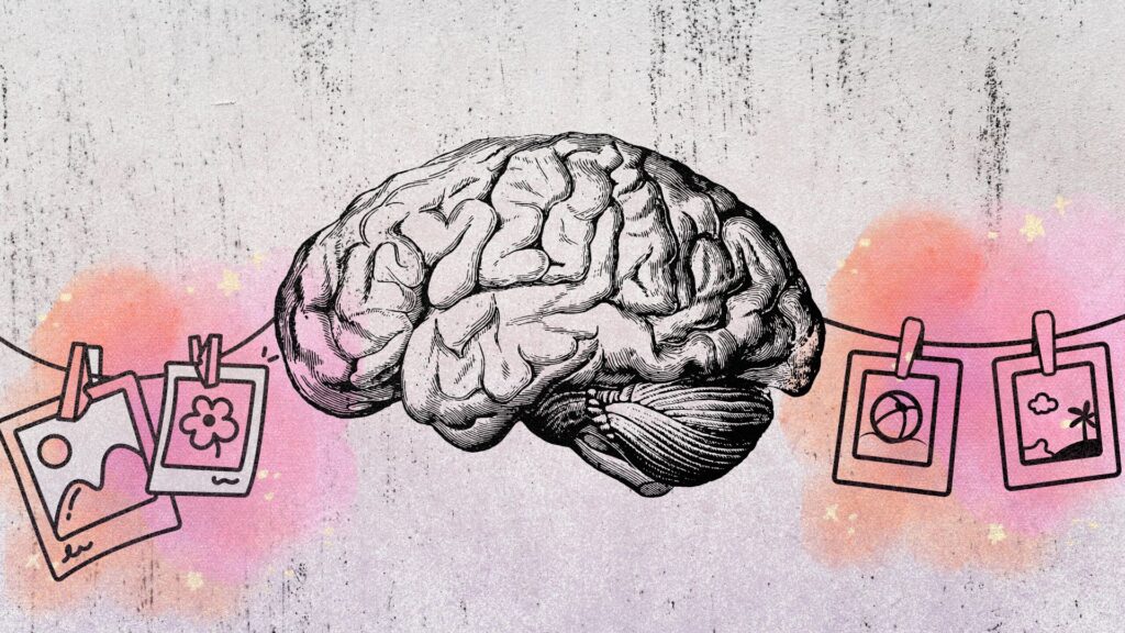 cerveau m&eacute;moire souvenir