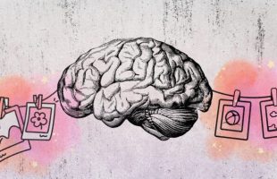 Source : Montage Numerama