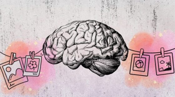 Source : Montage Numerama