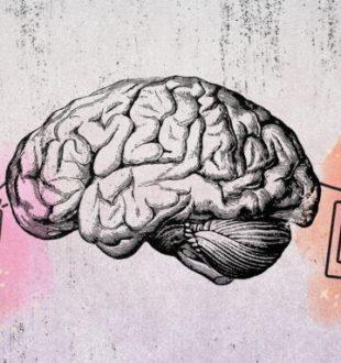 Source : Montage Numerama Source : Montage Numerama