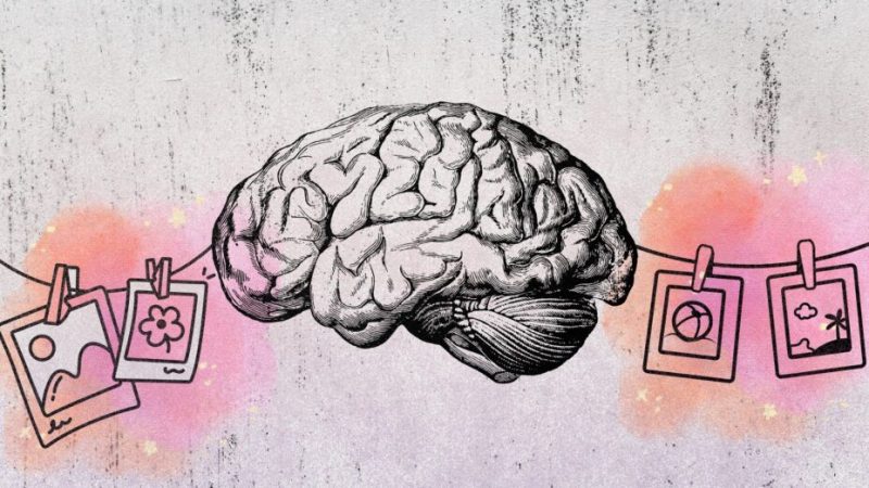 Des faux souvenirs implantés dans le cerveau : la prouesse fascinante de l’optogénétique