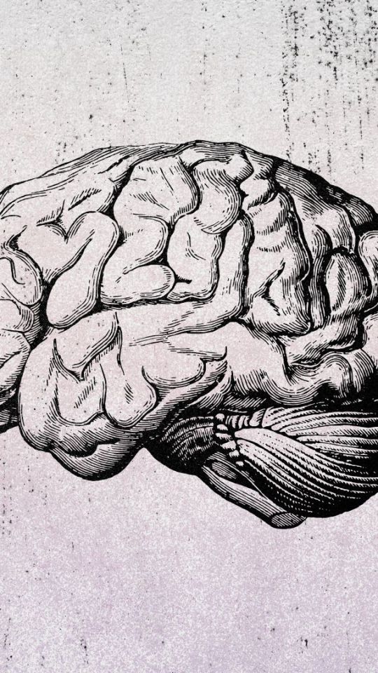 Source : Montage Numerama