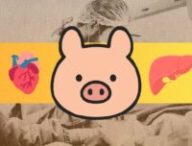 Source : Montage Numerama