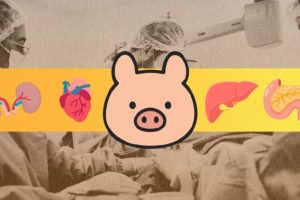 Source : Montage Numerama Source : Montage Numerama