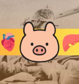 Source : Montage Numerama Source : Montage Numerama