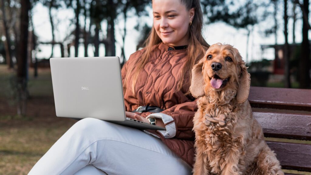 Dell 16 // Source : Dell