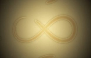 signe infini avec un ver // Source : Jacob Dwyer, Michigan Medicine