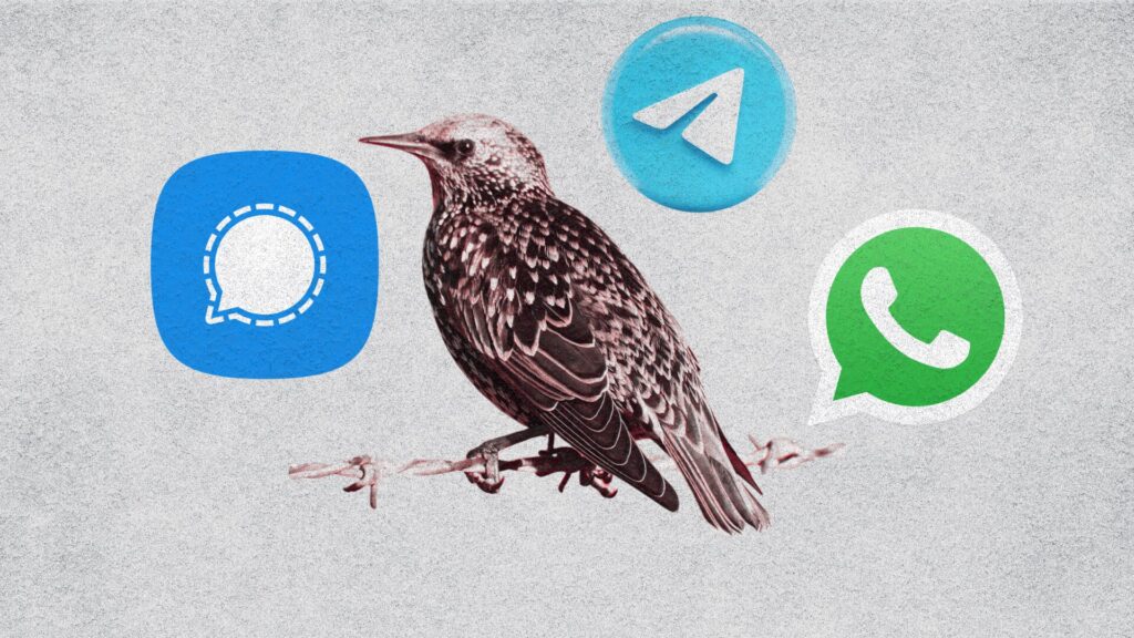 WhatsApp, Telegram, Signal... peu importe votre messagerie, cette menace aura accès à tout // Source : Montage Numerama WhatsApp, Telegram, Signal... peu importe votre messagerie, cette menace aura accès à tout // Source : Montage Numerama