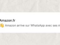 Oui, Amazon vous a bien envoyé un message sur WhatsApp qui a tout l'air d'un scam et voici comment le bloquer à l'avenir // Source : Montage Numerama