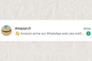 Oui, Amazon vous a bien envoyé un message sur WhatsApp qui a tout l'air d'un scam et voici comment le bloquer à l'avenir // Source : Montage Numerama