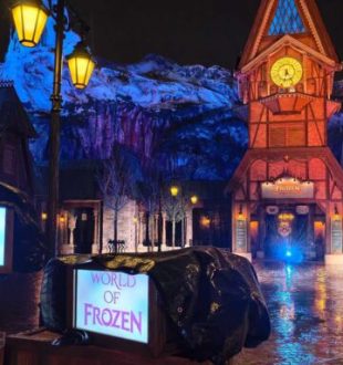 La Reine des Neiges à Disneyland Paris. // Source : Numerama