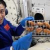 Source : Astronaut Center of China