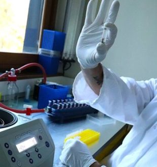 Source : Eitanite Bellaïche pour Numerama